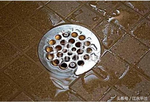 卫生间有气味用什么洗,卫生间有刺鼻气味怎么办