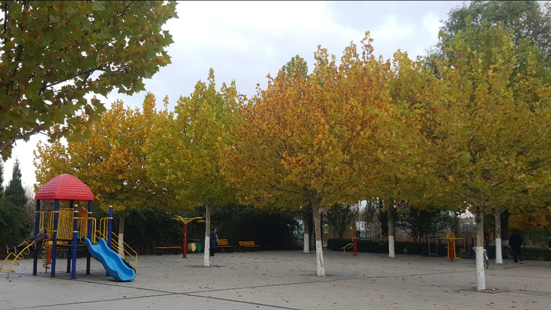 华为mate20pro现在还能买吗,华为mate20pro还可以入手吗