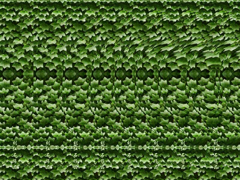 看三维立体图片有没有好处,看三维立体图能看到什么