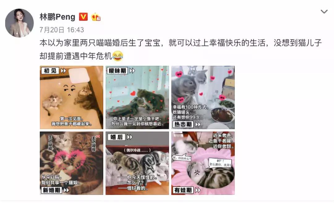 不必硬拗,林鹏“演妈妈”比朋友圈里的刷屏宝妈更入戏