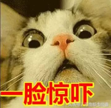 ugg事件最新结果,ugg事件