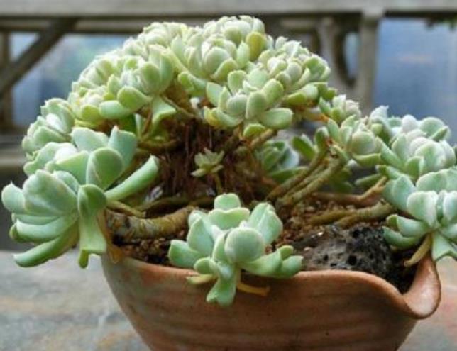 财运正旺不宜做的事,想财运旺记住这几件事