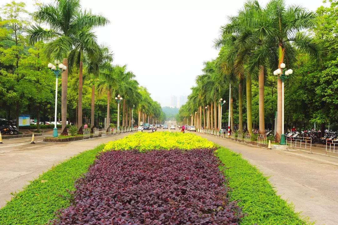 广东江门的地位,广东江门这座城市怎么样