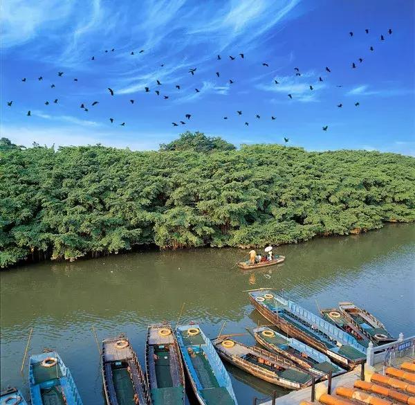 广东江门的地位,广东江门这座城市怎么样