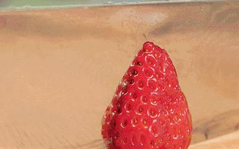 何炅刘昊然,何炅和刘昊然代言的蛋糕