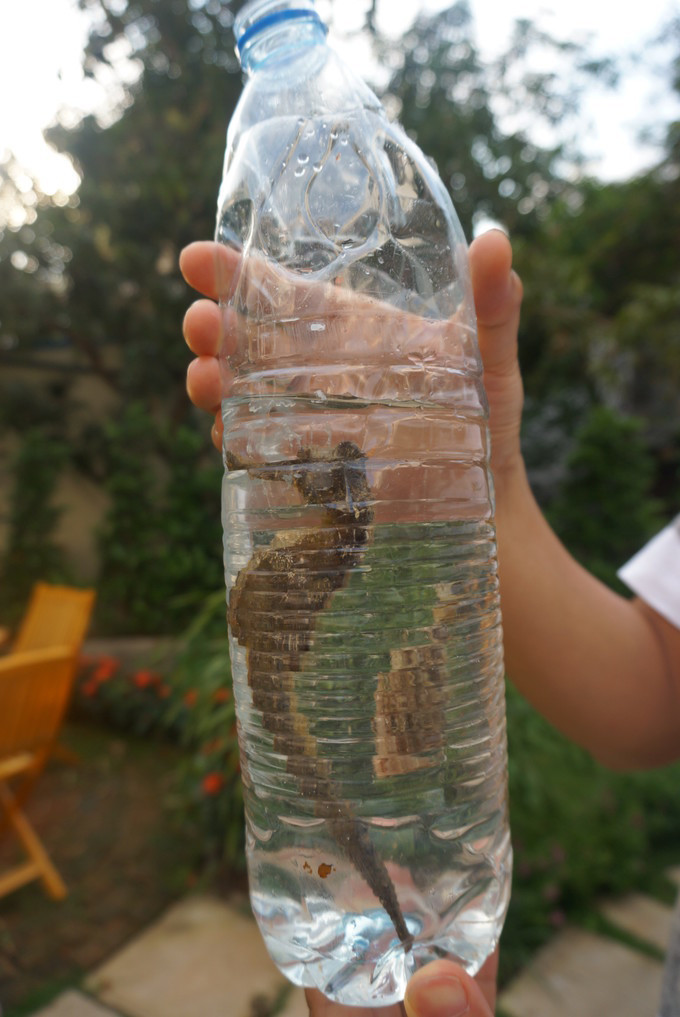 美丽的三亚蓝天白云,三亚蓝天白云美景