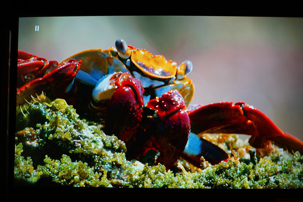 明基最高端的投影,明基最高端投影仪