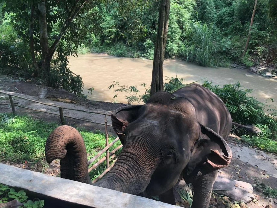 长发美美Sia丫丫带你游遍纸醉金迷曼谷小清新清迈