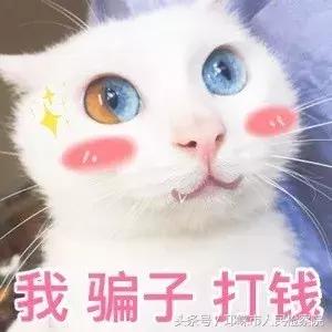 「高能预警」“转发此锦鲤”自带防诈骗光环！