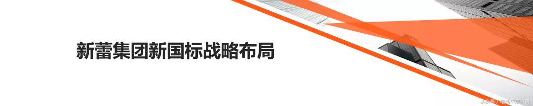 新蕾电动车2023销量,2023年国家重点扶持新能源