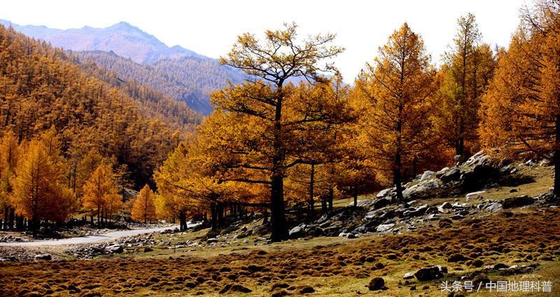 黑龙江的地理气候,黑龙江省地形地貌与气候特征