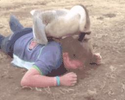 淘宝一百多的羽绒被是真的吗,淘宝上的羽绒被质量可靠吗