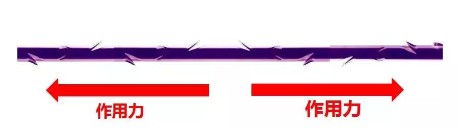 施尔美直播回放,施尔美2023春季新品发布会