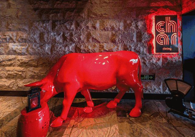 最美外滩江景餐厅,外滩江景酒店餐厅