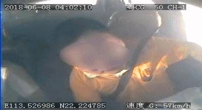 大学生骑机车撞轿车身亡,一学生骑车被撞身亡