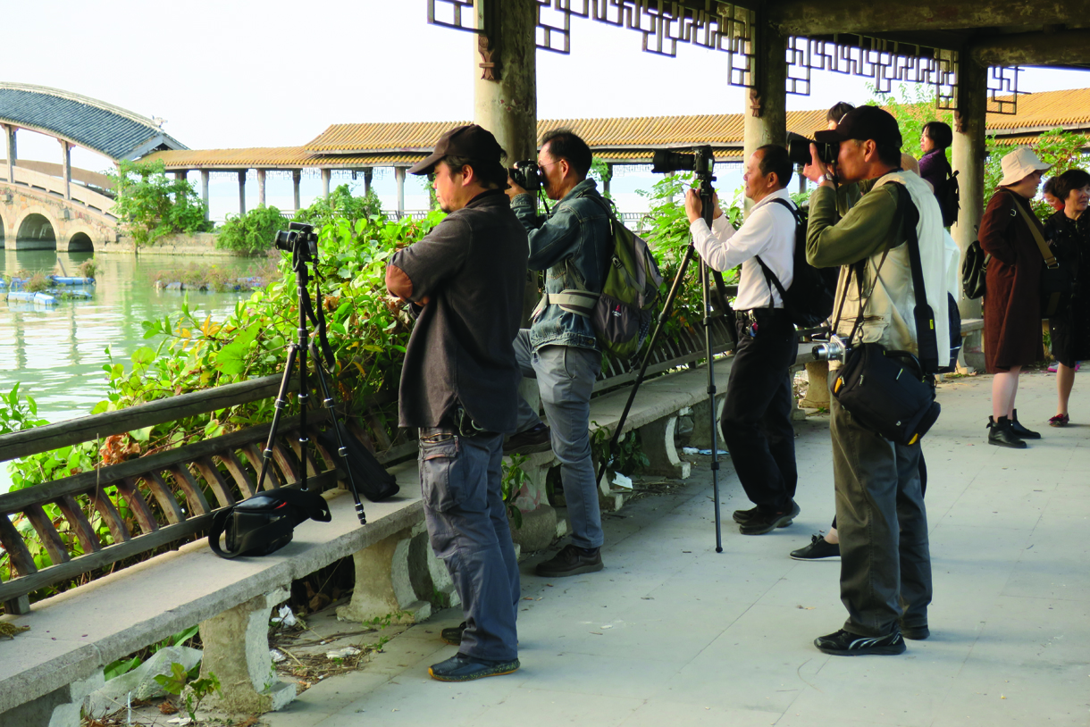 统一嘉园为什么流拍,统一嘉园最新竞拍结果