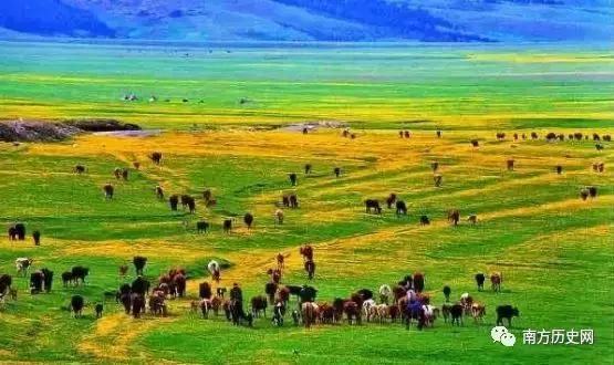 全国各地零食特产一览表,全国各地农产品特产一览表