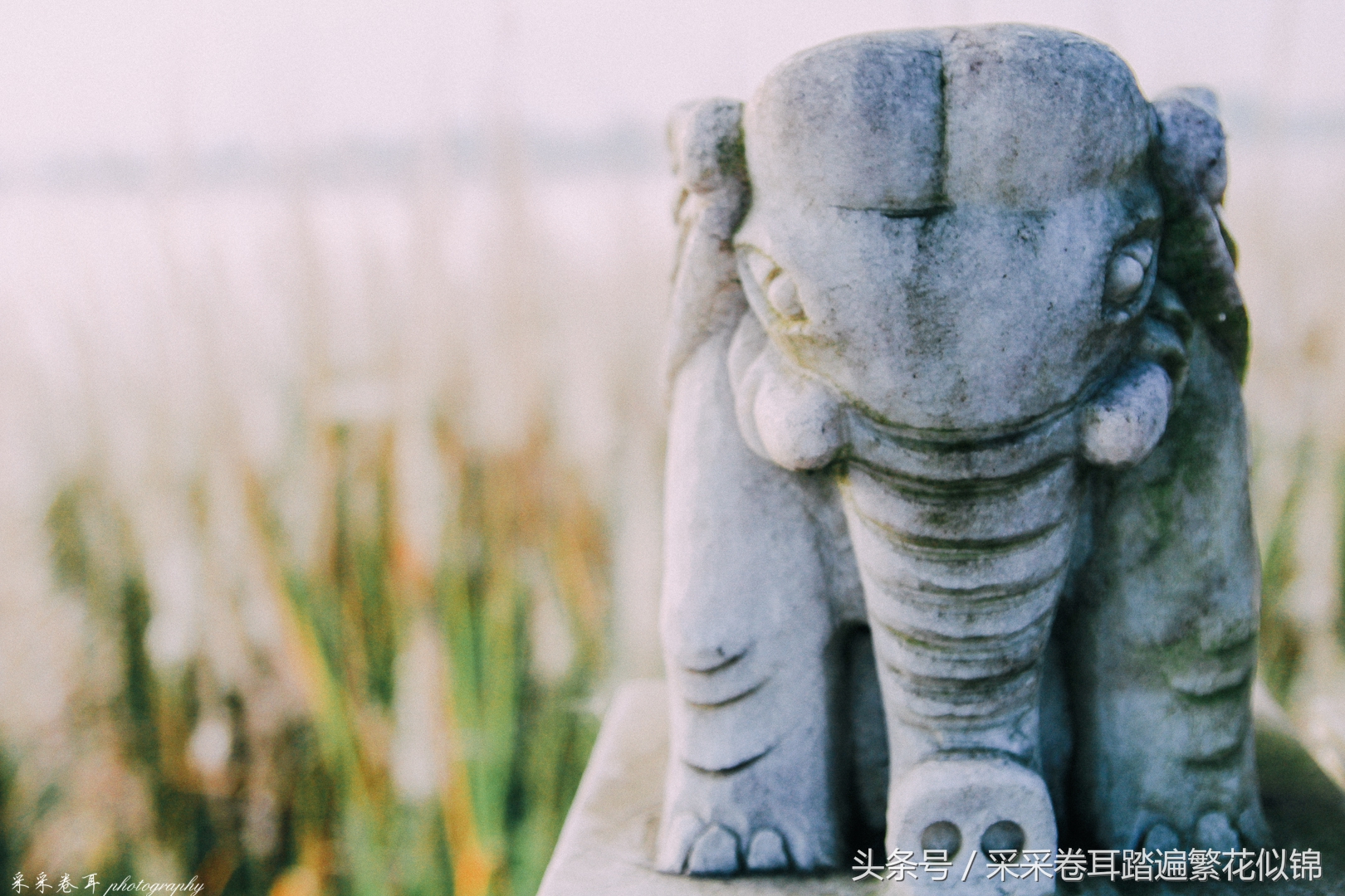 瑞丽夜晚打卡景点有哪些,瑞丽去哪里看风景