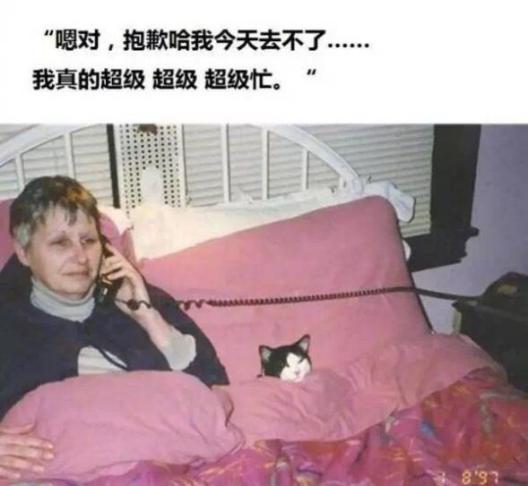 肥宅也可以逆袭,肥宅也有逆袭的梦想呀