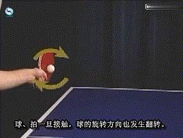 乒乓球基础知识学习,乒乓球新手必须掌握的几种旋转
