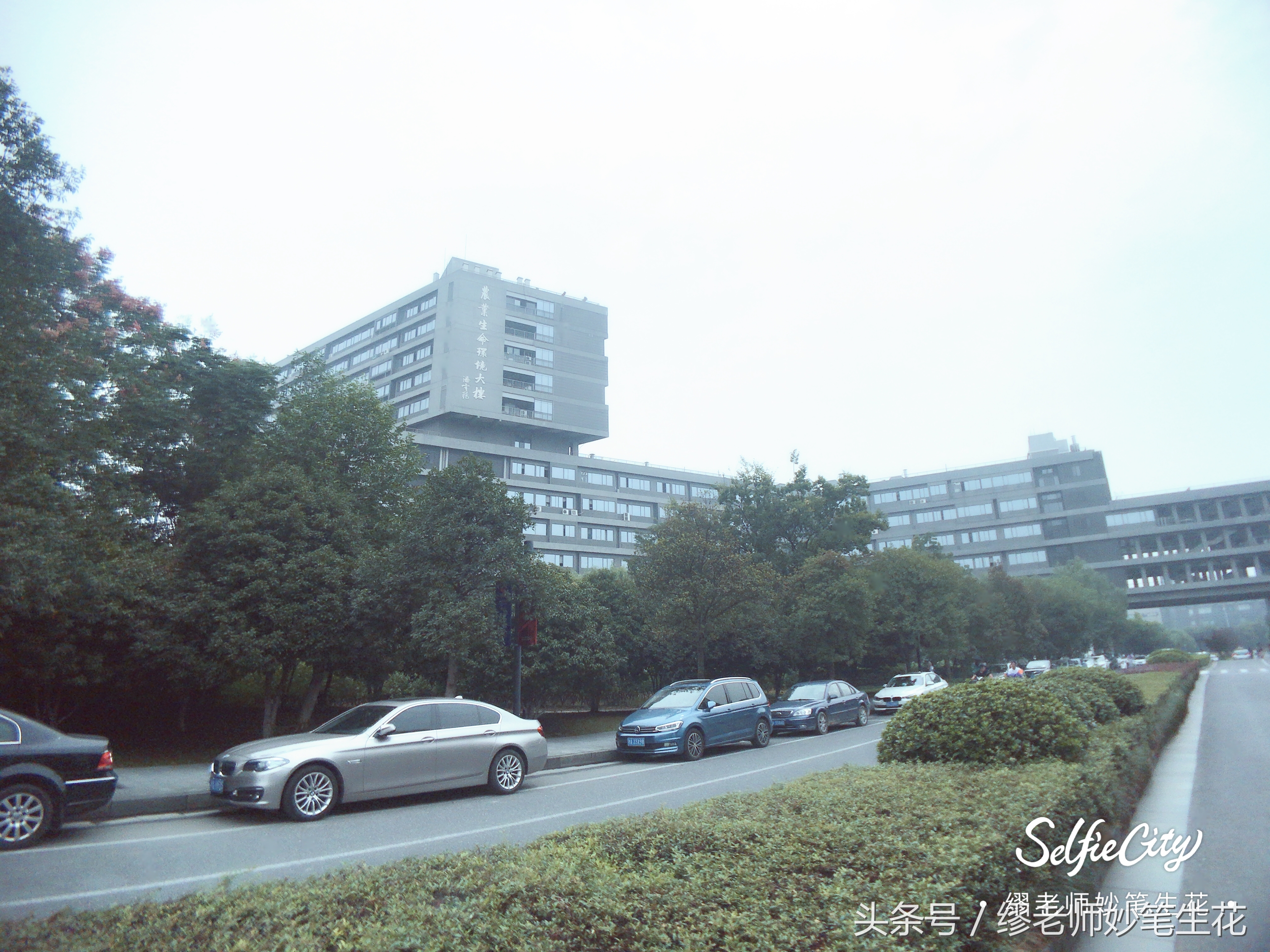 信息管理与信息系统专业好吗,信息管理与信息系统专业难不难