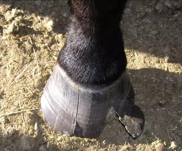 新版天龙八部萧峰进中原,天龙八部决战少室山乔峰详细攻略