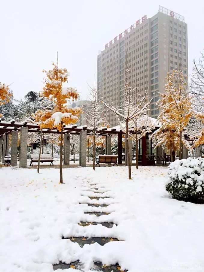 再见97,再见1997学校