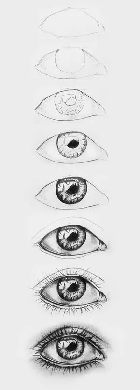 老孙快画素描入门零基础教程,零基础素描画画教程