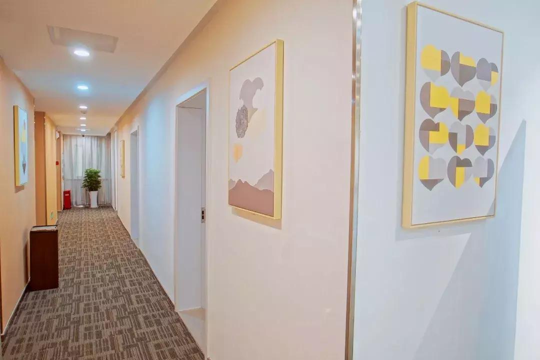 苏州上方山银杏景点,苏州银杏树拍照打卡攻略