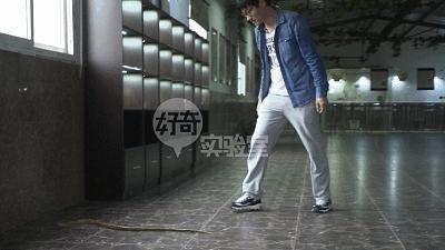 蛇和蛇打结会自己解开吗,蛇打个死结能自己解开吗