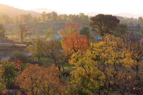 大悟,一个和婺源相媲美的地方,等了一整年的最红秋色终于来了!