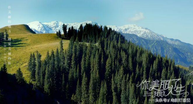 十一月这份片单,我敲锣打鼓的告诉你
