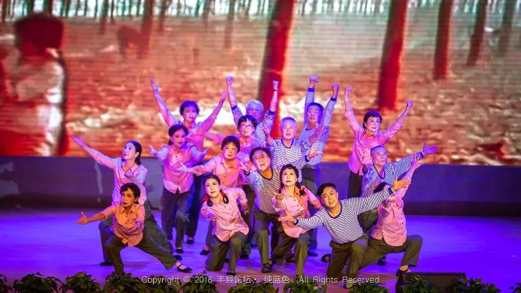 知青回沙河完整视频,北京沙河知青