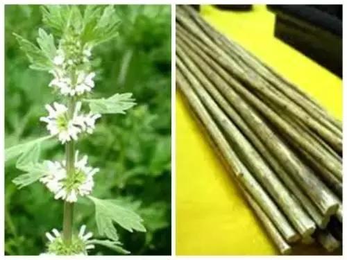 你相信占卜吗测试,你相信星座占卜吗