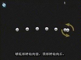 打好乒乓球注意事项,打好乒乓球的基本功