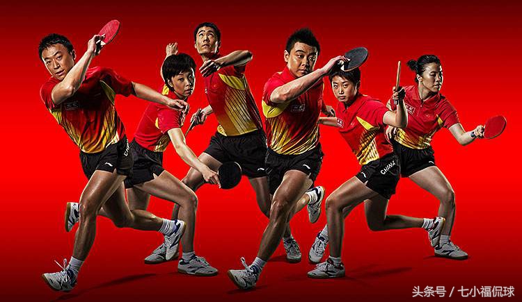 乒乓球的基本知识与打法视频,乒乓球入门理论知识