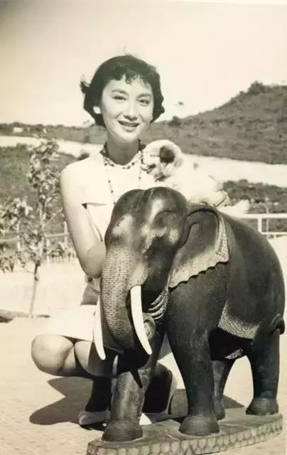 金庸评价最经典小龙女,金庸最美女人是谁