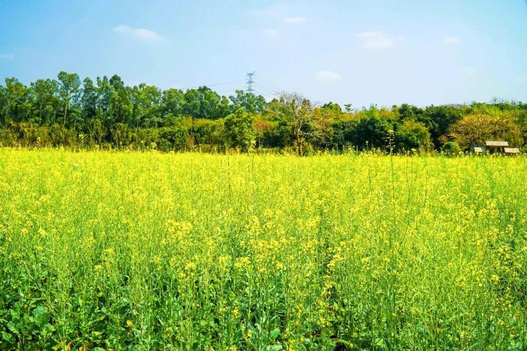 深圳向世界发出邀请,向世界推介深圳
