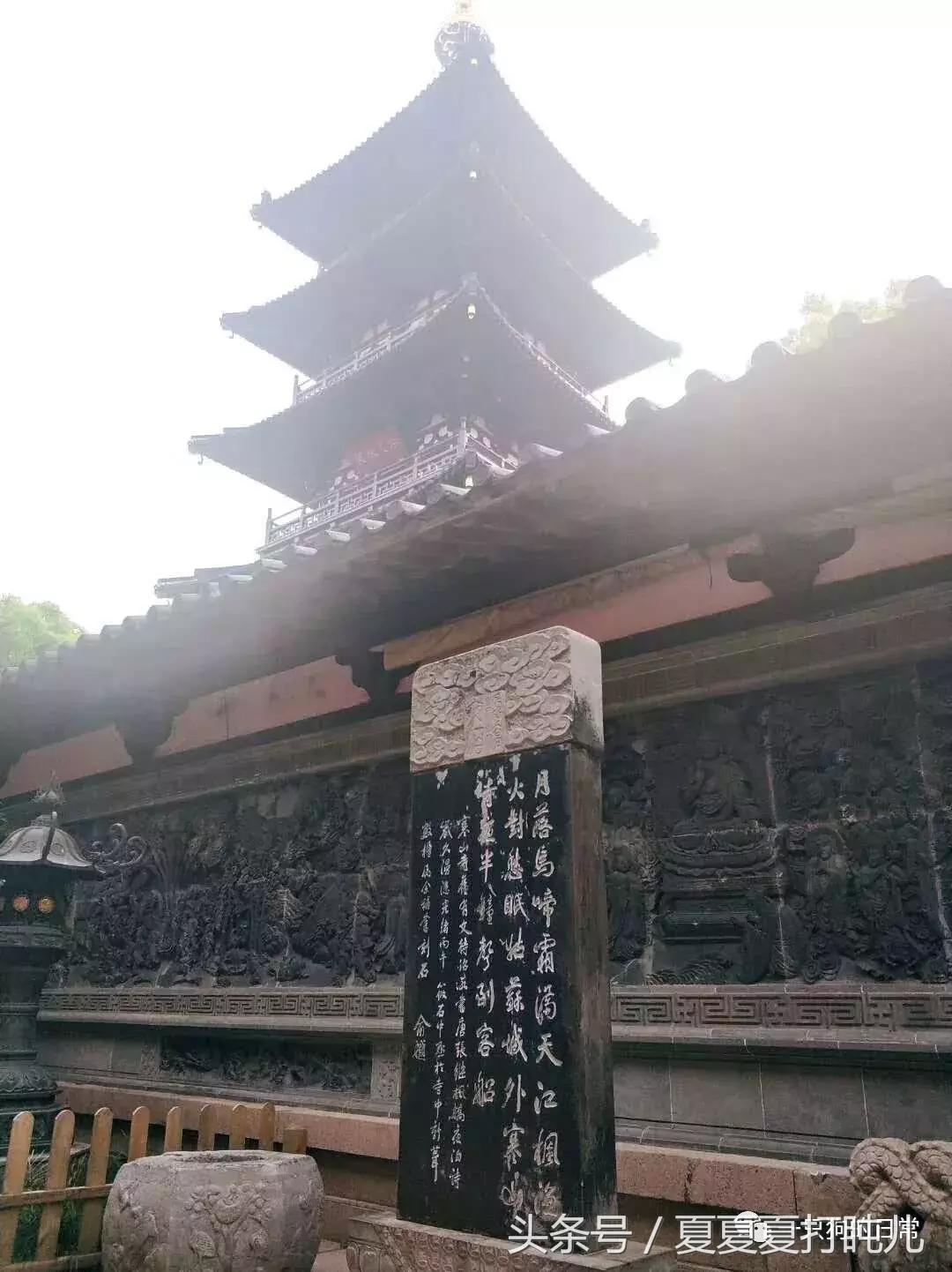 一只狗的旅游记,一只狗去洛阳旅游