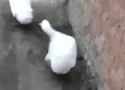 键盘字母顺序为什么是这么安排,键盘字母的顺序表