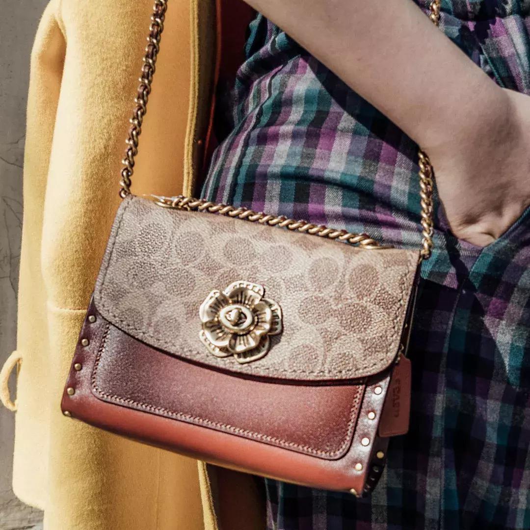 饼家推荐,饼家双黄月饼