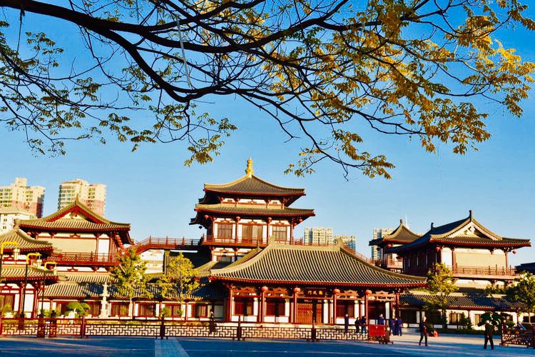 秋到上阳宫，黄叶蓝天高宫阙，皇帝都赞的美景，免费你都没去看？