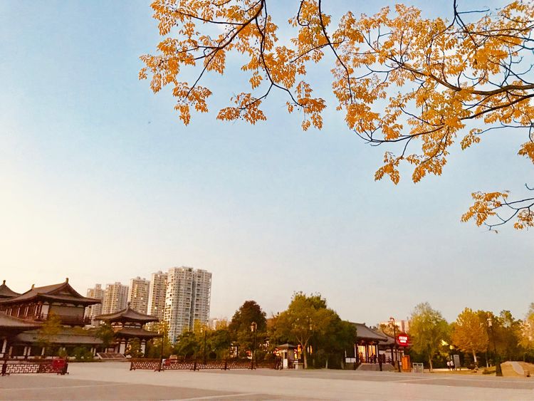 秋到上阳宫，黄叶蓝天高宫阙，皇帝都赞的美景，免费你都没去看？