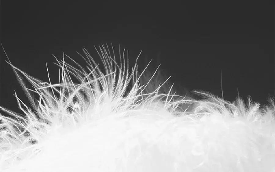 石墨烯多功能羽绒毯,新款多功能便携羽绒盖毯