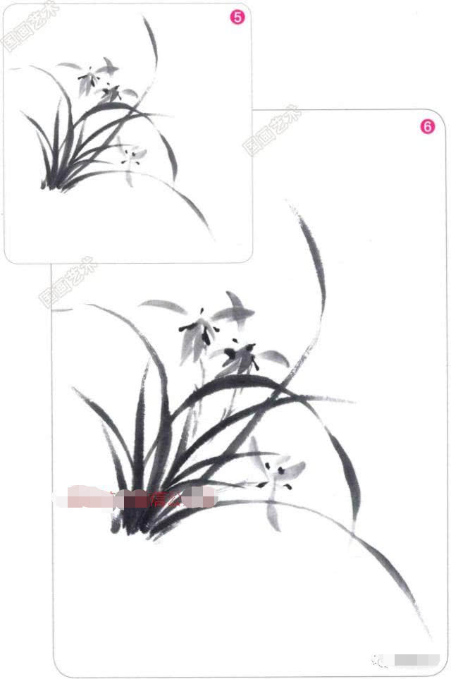 写意兰花的基本画法视频,写意兰花的画法技法视频