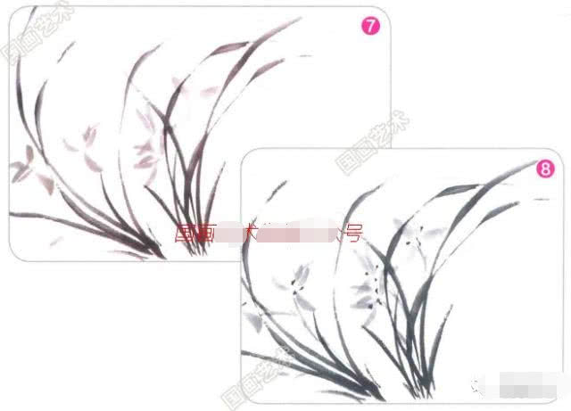 兰花国画写意画法初学者教程,国画教程写意兰花示范讲解