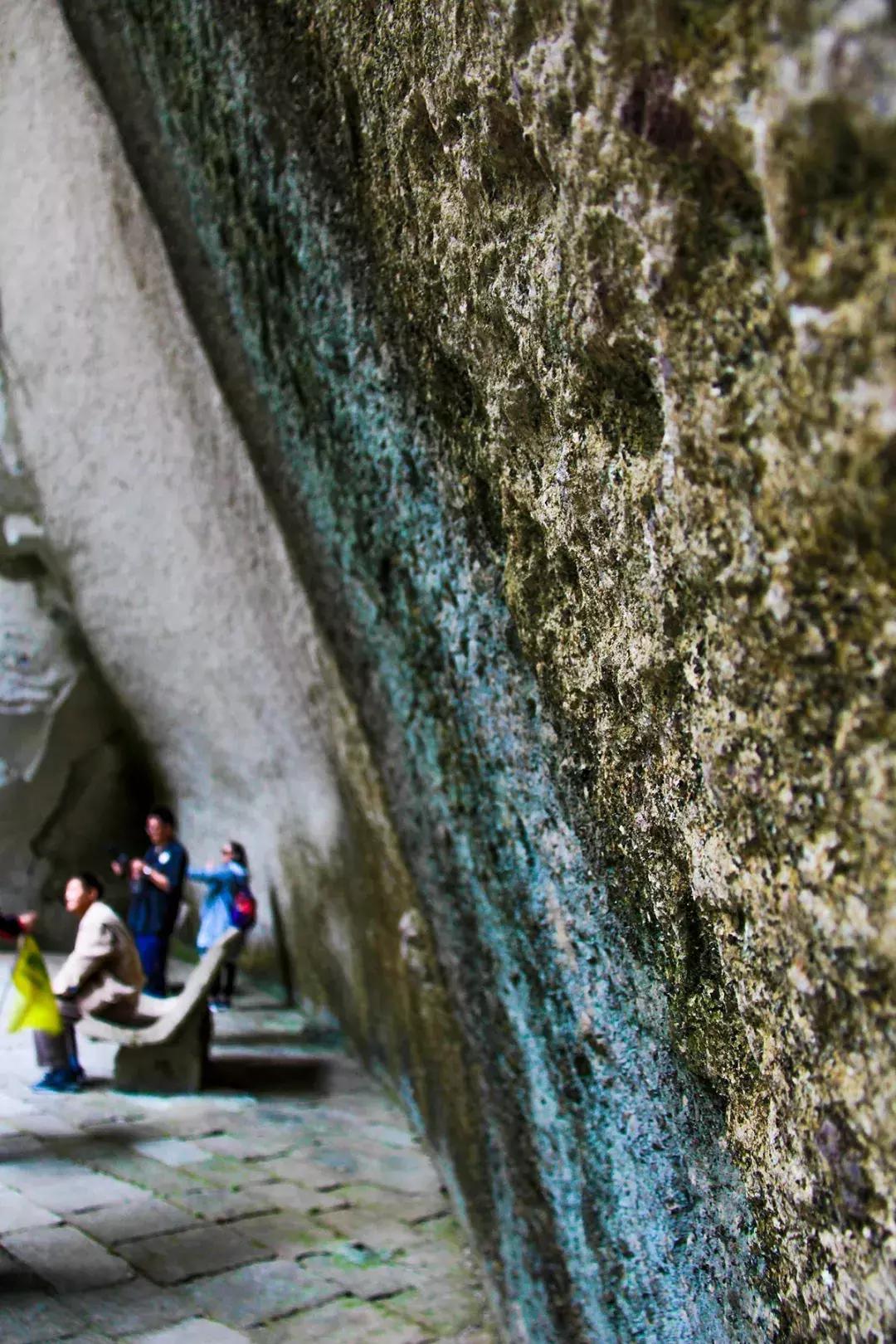 娴欐睙鍙板窞瀹濊棌鐢峰,鍙板窞瀹濊棌鐢风敓