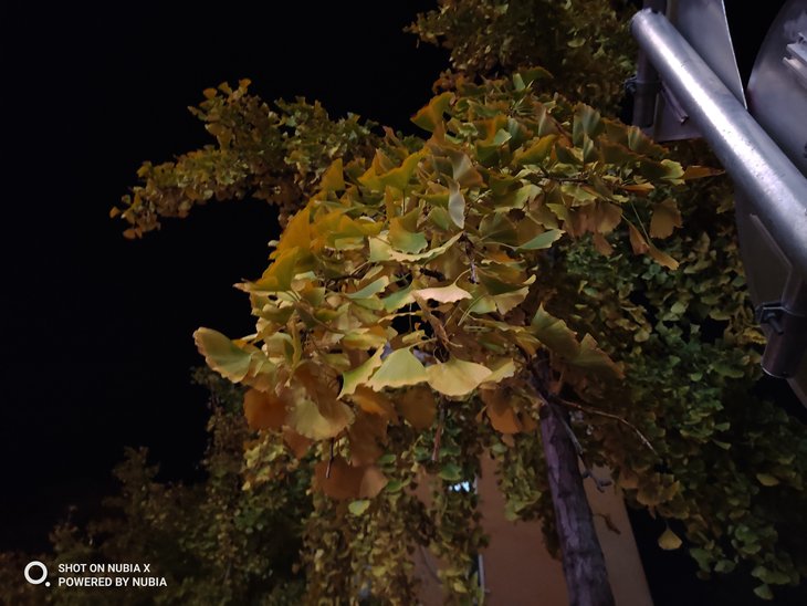 努比亚双摄旗舰曲面屏,努比亚x双屏测评