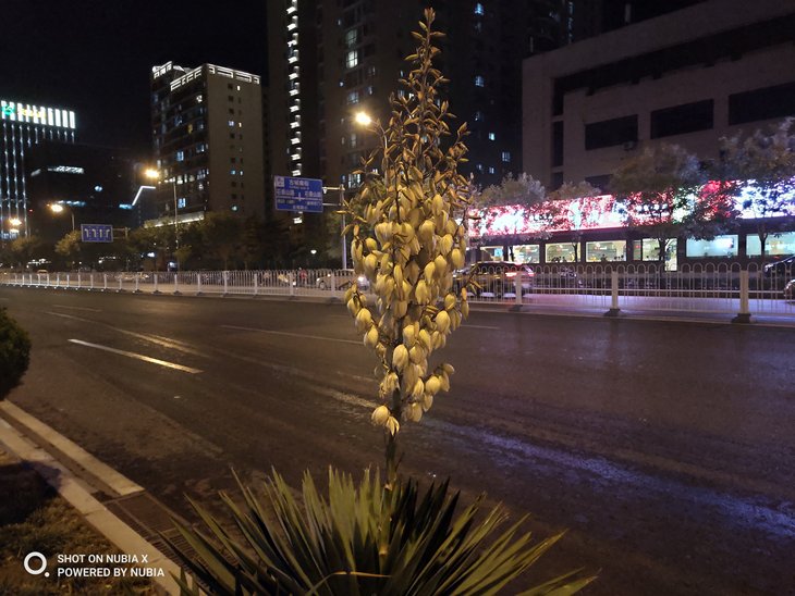 努比亚双摄旗舰曲面屏,努比亚x双屏测评