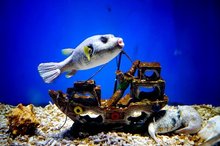 阜阳市简介概况,安徽省阜阳地区怎么样